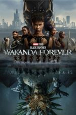 Watch Black Panther: Wakanda Forever Sockshare