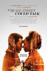 Watch If Beale Street Could Talk Sockshare