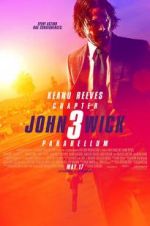 Watch John Wick: Chapter 3 - Parabellum Sockshare