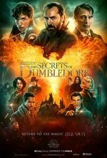 Watch Fantastic Beasts: The Secrets of Dumbledore Sockshare