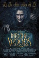 Watch Into the Woods Sockshare