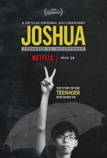 Watch Joshua: Teenager vs. Superpower Sockshare