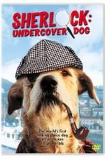 Watch Sherlock Undercover Dog Sockshare