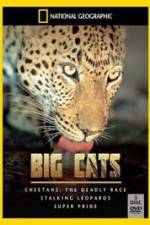Watch National Geographic: Living With Big Cats Sockshare