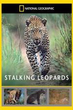 Watch National Geographic: Stalking Leopards Sockshare