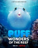 Watch Puff: Wonders of the Reef Sockshare