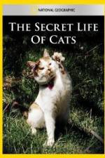 Watch National Geographic The Secret Life of Cats Sockshare