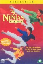 Watch 3 Ninjas Kick Back Sockshare