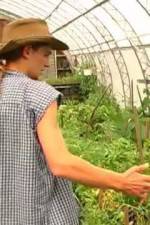 Watch Green House Seeds Strain Hunters India Expedition Sockshare