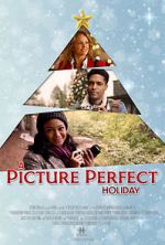 Watch A Picture Perfect Holiday Sockshare