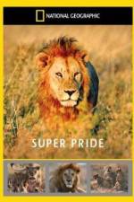 Watch National Geographic: Super Pride Africa\'s Largest Lion Pride Sockshare