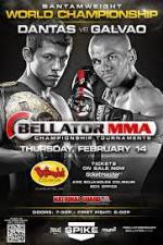 Watch Bellator Fighting Championships 89 Sockshare