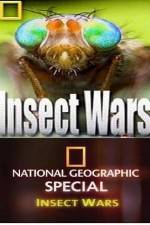 Watch National Geographic Insect Wars Sockshare