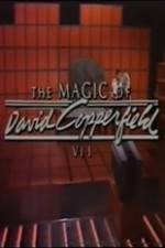 Watch The Magic of David Copperfield VII Familares Sockshare