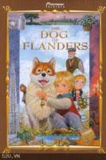 Watch The Dog of Flanders Sockshare