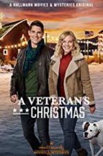 Watch A Veteran\'s Christmas Sockshare