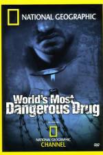 Watch Worlds Most Dangerous Drug Sockshare