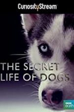 Watch Secret Life of Dogs Sockshare