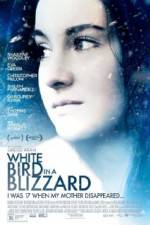 Watch White Bird in a Blizzard Sockshare