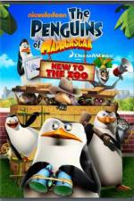 Watch Penguins of Madagascar New to the Zoo Sockshare