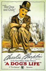 Watch A Dog's Life (Short 1918) Sockshare