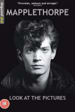 Watch Mapplethorpe: Look at the Pictures Sockshare