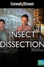 Watch Insect Dissection: How Insects Work Sockshare