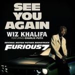 Watch Wiz Khalifa Ft. Charlie Puth: See You Again Sockshare