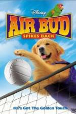 Watch Air Bud Spikes Back Sockshare