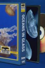 Watch NATURE: Oceans in Glass Sockshare