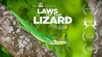 Watch Laws of the Lizard Sockshare