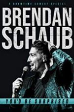 Watch Brendan Schaub: You\'d Be Surprised Sockshare