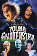 Watch Young Frankenstein Sockshare