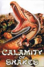 Watch Calamity of Snakes Sockshare