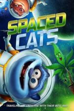 Watch Spaced Cats Sockshare