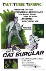 Watch The Cat Burglar Sockshare