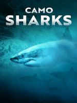 Watch Camo Sharks Sockshare