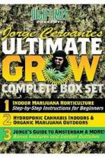 Watch Jorge Cervantes Ultimate Grow Complete Box Set Sockshare