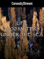 Watch Life 2,000 Meters Under the Sea Sockshare