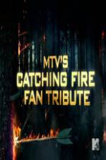 Watch MTV?s The Hunger Games: Catching Fire Fan Tribute Sockshare