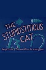 Watch The Stupidstitious Cat Sockshare