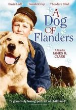 Watch A Dog of Flanders Sockshare