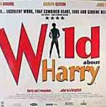 Watch Wild About Harry Sockshare