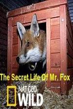 Watch The Secret Life of Mr. Fox Sockshare