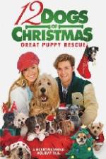 Watch 12 Dogs of Christmas Great Puppy Rescue Sockshare