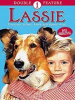 Watch Lassie: A New Beginning Sockshare