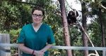 Watch Sue Perkins and the Chimp Sanctuary Sockshare