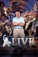 Watch David Attenborough\'s Natural History Museum Alive Sockshare