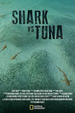 Watch Shark vs Tuna Sockshare