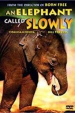 Watch An Elephant Called Slowly Sockshare